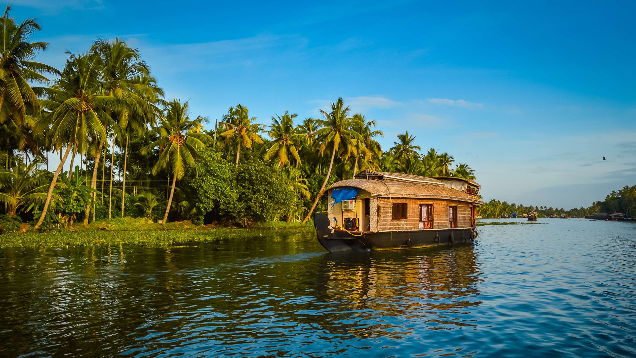 India_Rivers_Riverboat_Alappuzha_Kerala_Palms_527898_2560x1440